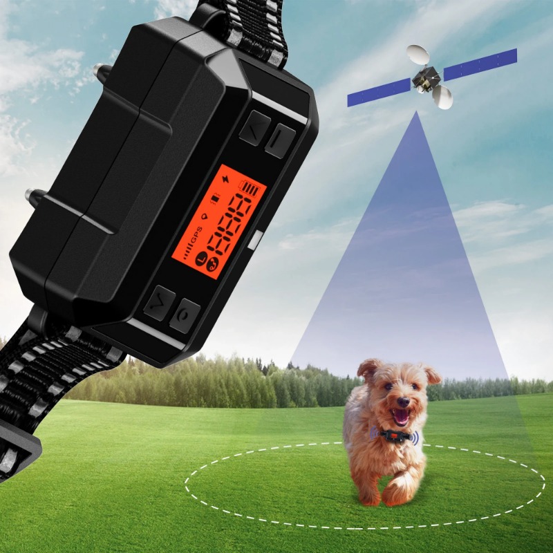 2025 Chip GPS Pet Electric Dog - Outdoor Furniture Plus 评论和价格