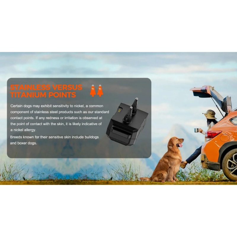 2025 Chip GPS Pet Electric Dog - Outdoor Furniture Plus 评论和价格